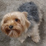Annie